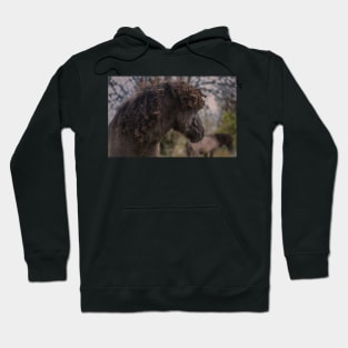 Natty Dread Hoodie